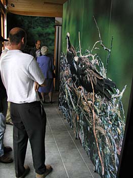 looking around the Exhibition